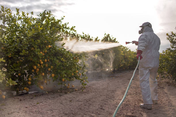 Best Mosquito Control  in Blue Ridge, TX